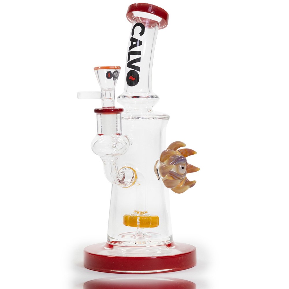 CG-73-FRONT-BL Bong Eye Sun Rig 25cm Calvo Glass