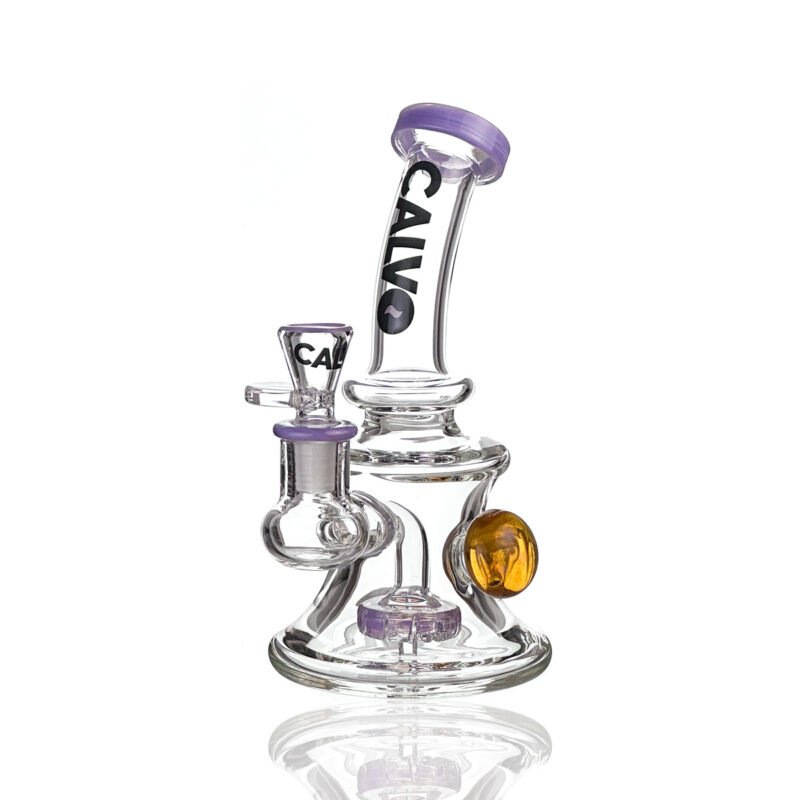 Rig Dragon Ball Z Purple Calvo Glass